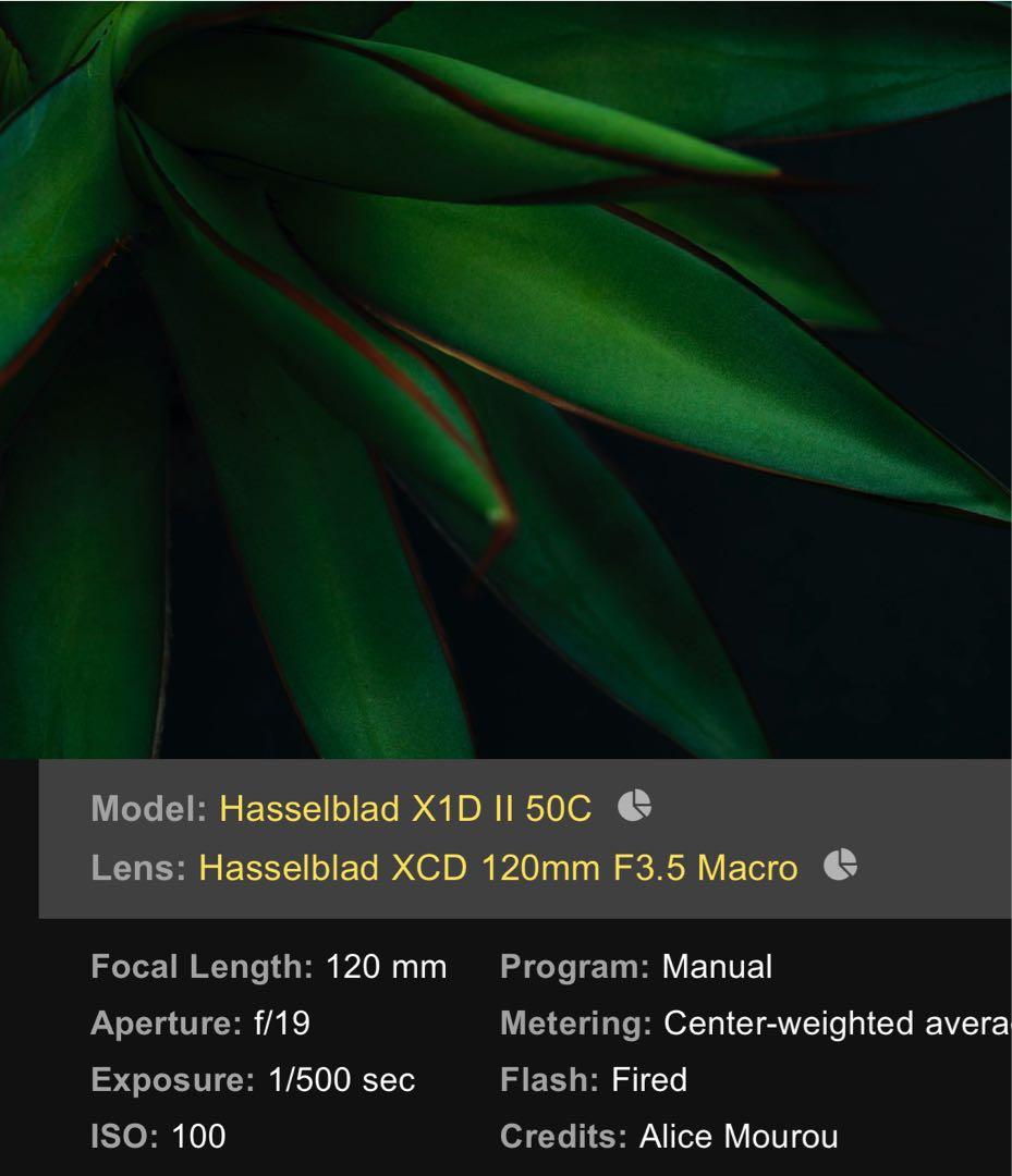 hasselblad xcd 120mm f3.5 macro 619,300円