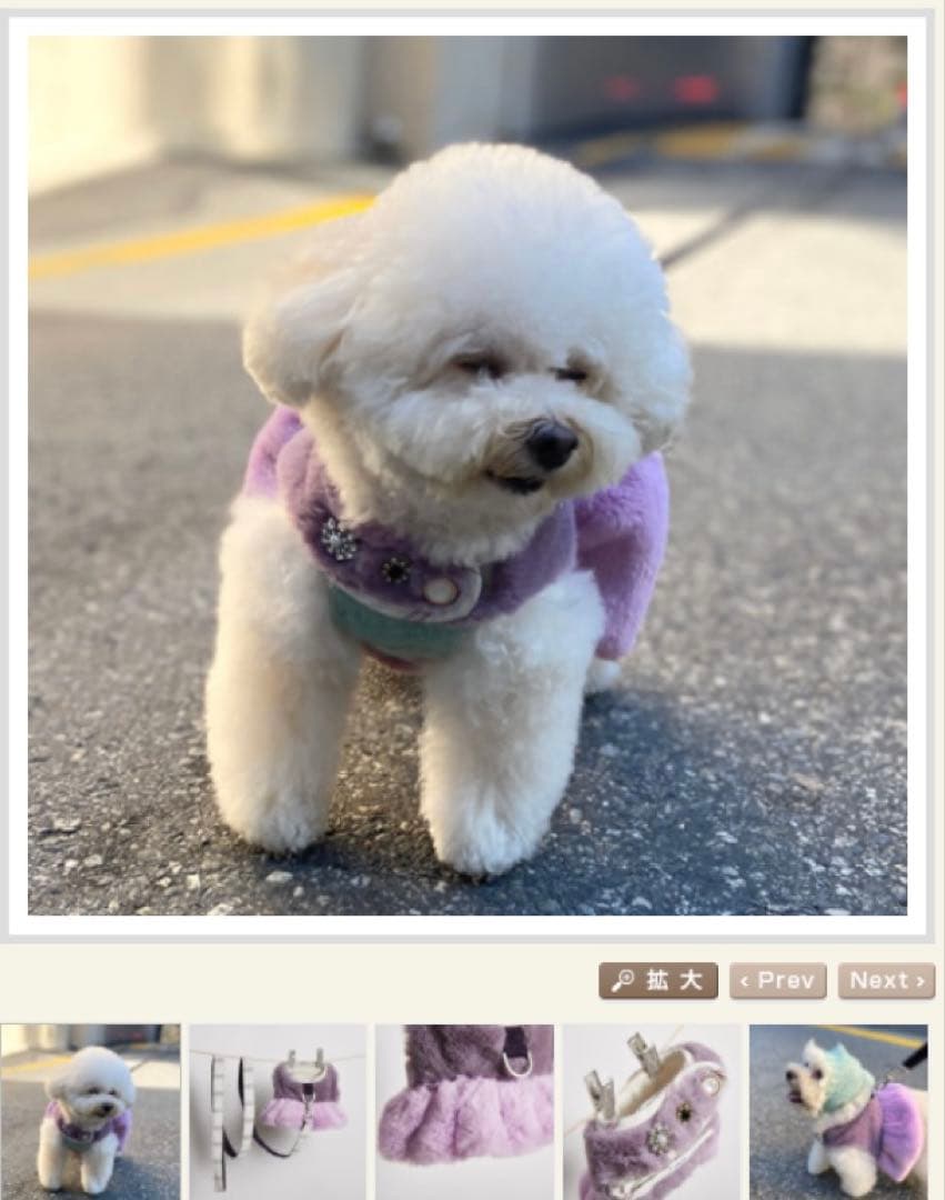 ルイスドッグ　ハーネス　リード付き　Sサイズ