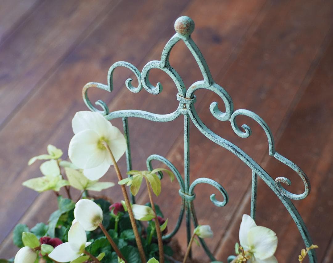 シャビーナチュラルなクリスマスローズ寄せ植え