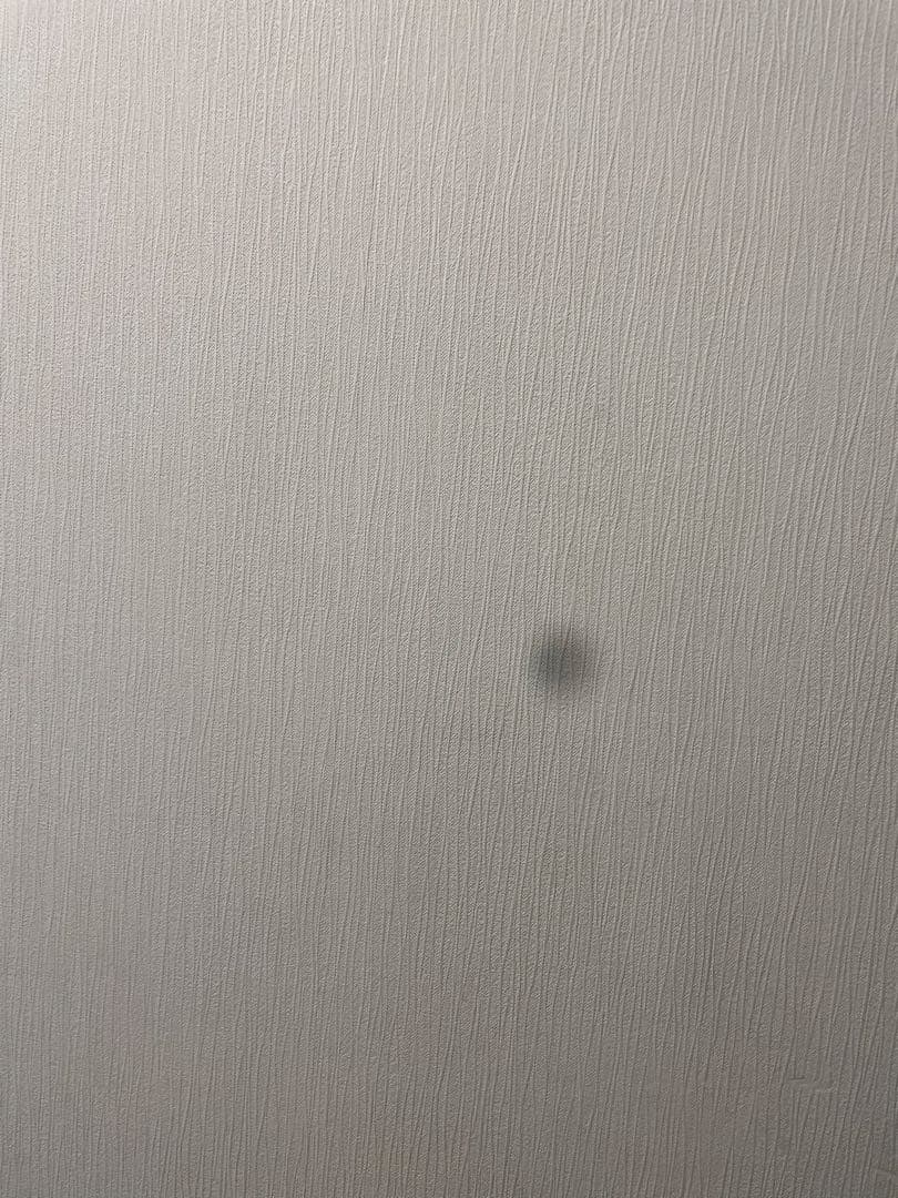 iPhone12 ブルー 128GB ※ジャンク品（カメラのみ機能不良あり）