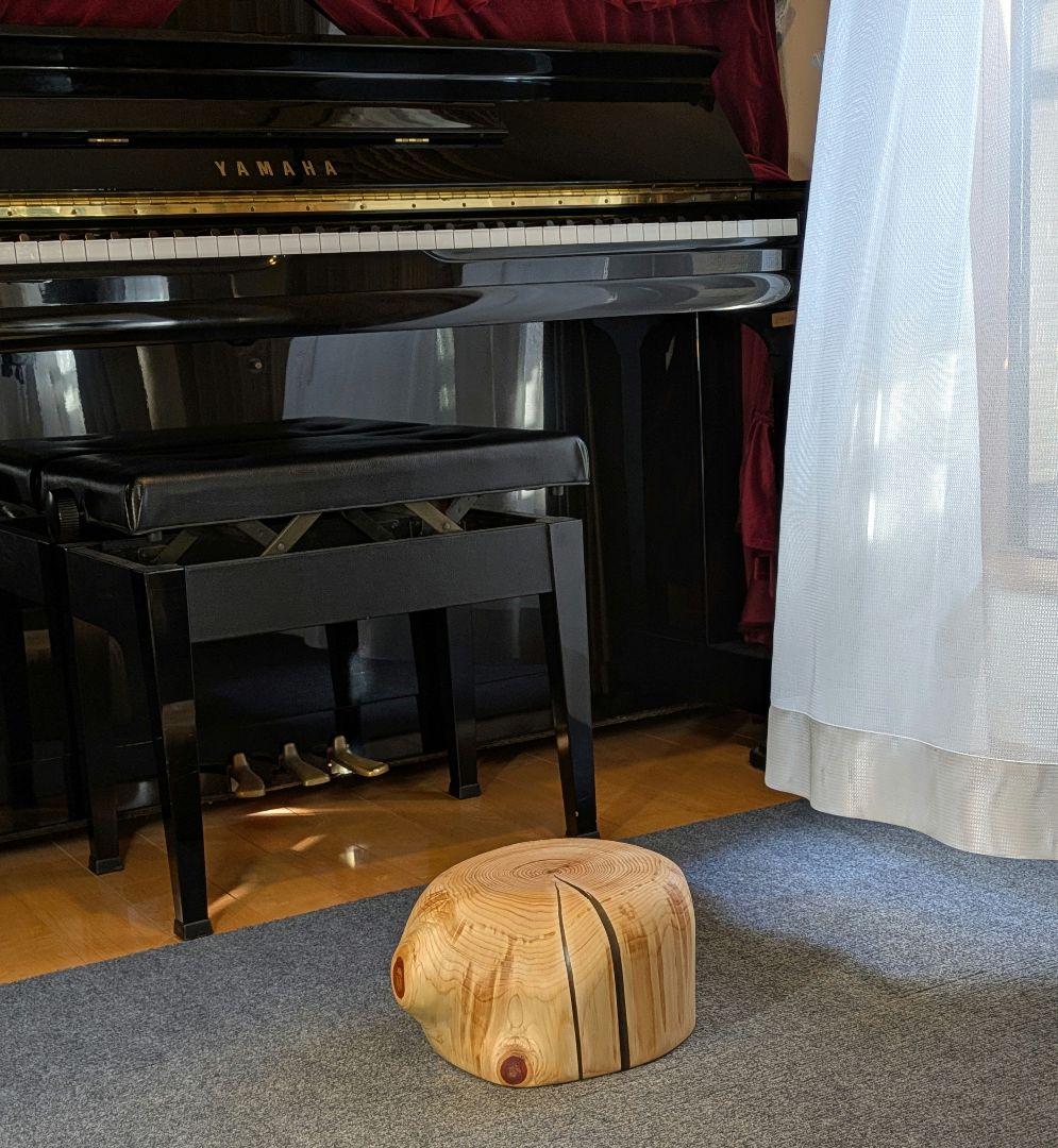 檜　丸太　輪切り　高さ約15㎝