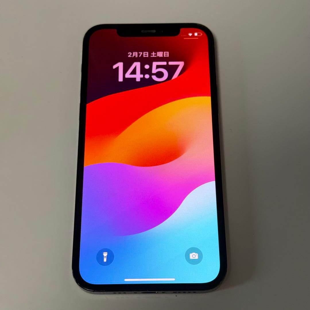 Apple iPhone 12 Pro 128GB パシフィックブルー 本体のみ