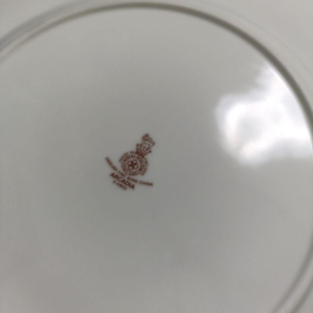 希少【未使用】ロイヤルドルトン アルカディア プレート　27cm 6枚セット
