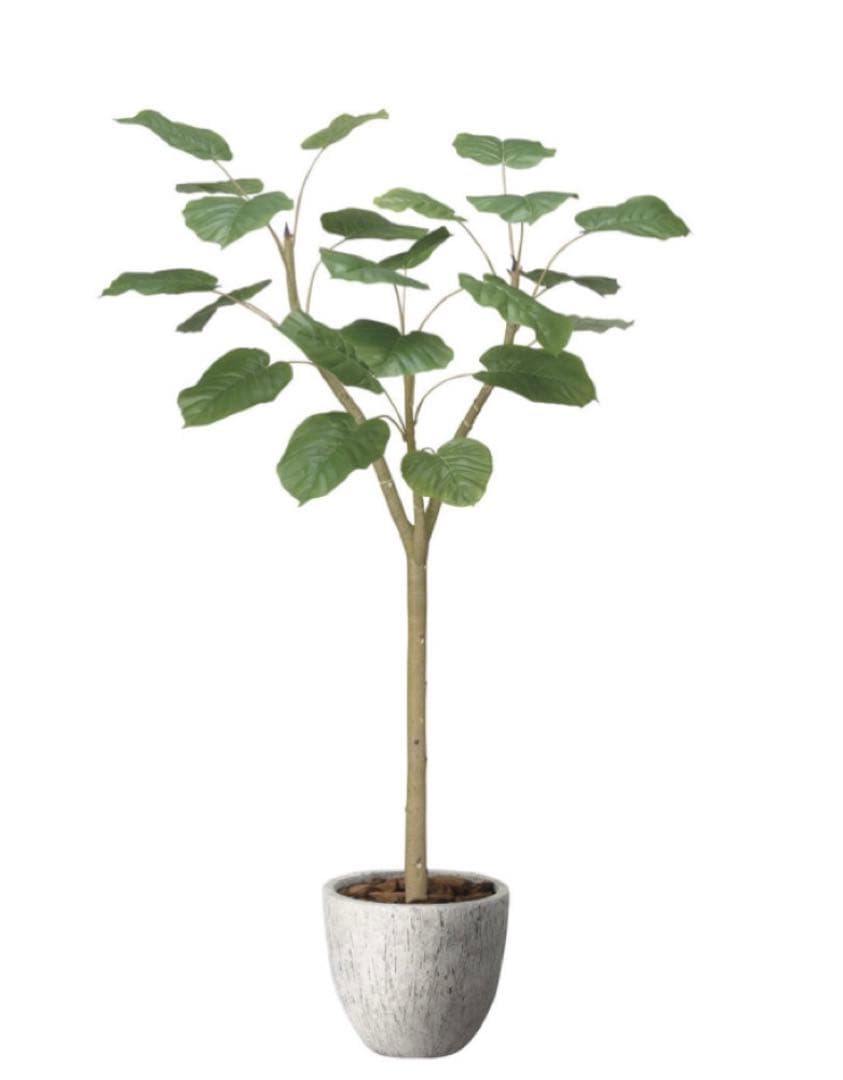 光触媒　人工観葉植物　フェイクグリーン　ナチュラルウンベラータ1.5