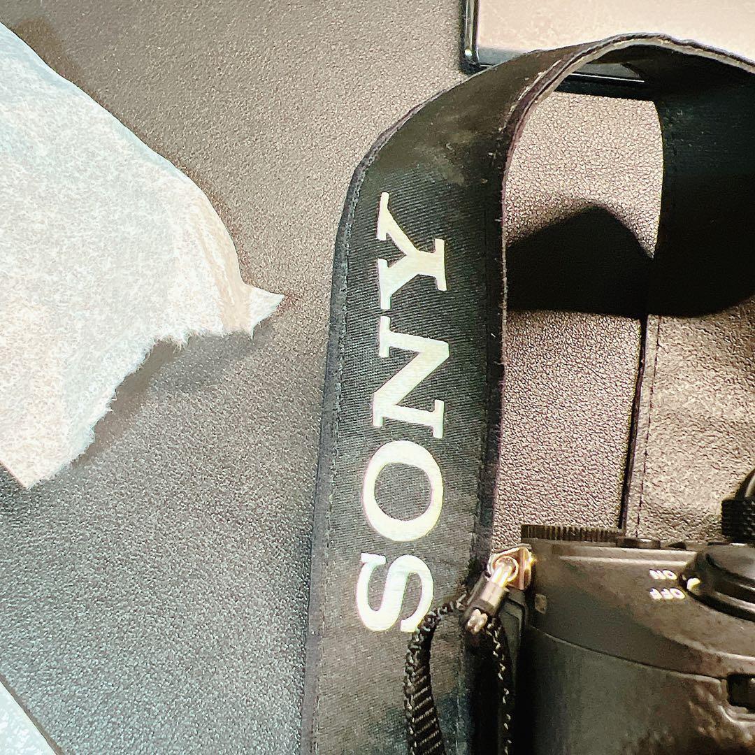 SONY α7 III ILCE-7M3 ボディ シャッター約500回 美品