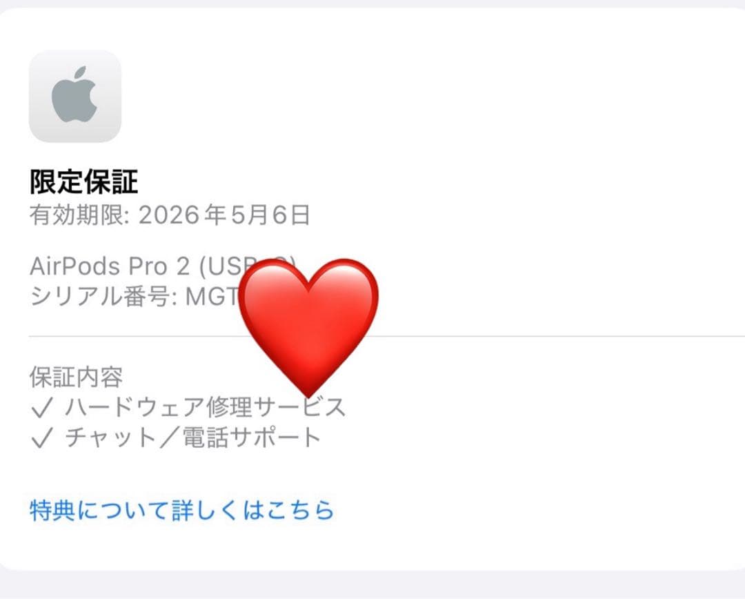 【美品】Apple AirPods Pro 第2世代 USB-C