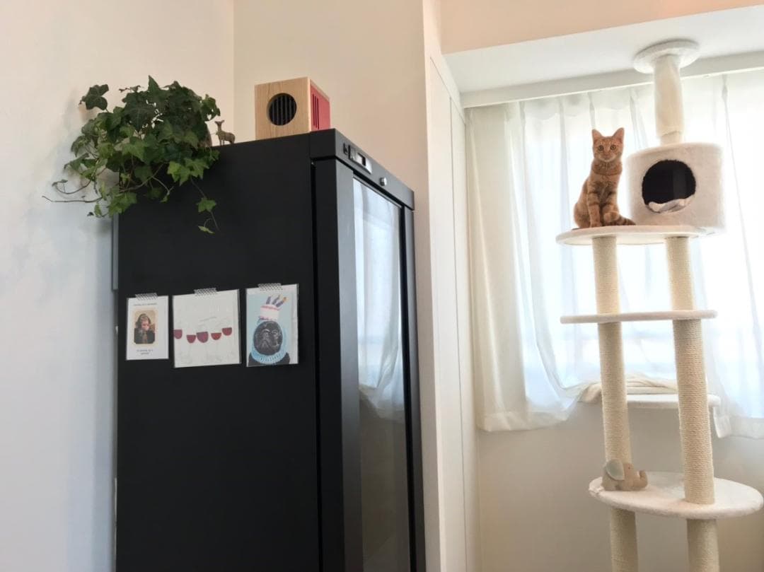 今、大人気の　j.air ジェイエアー　空気清浄機 　新品 値下げ致しました！！