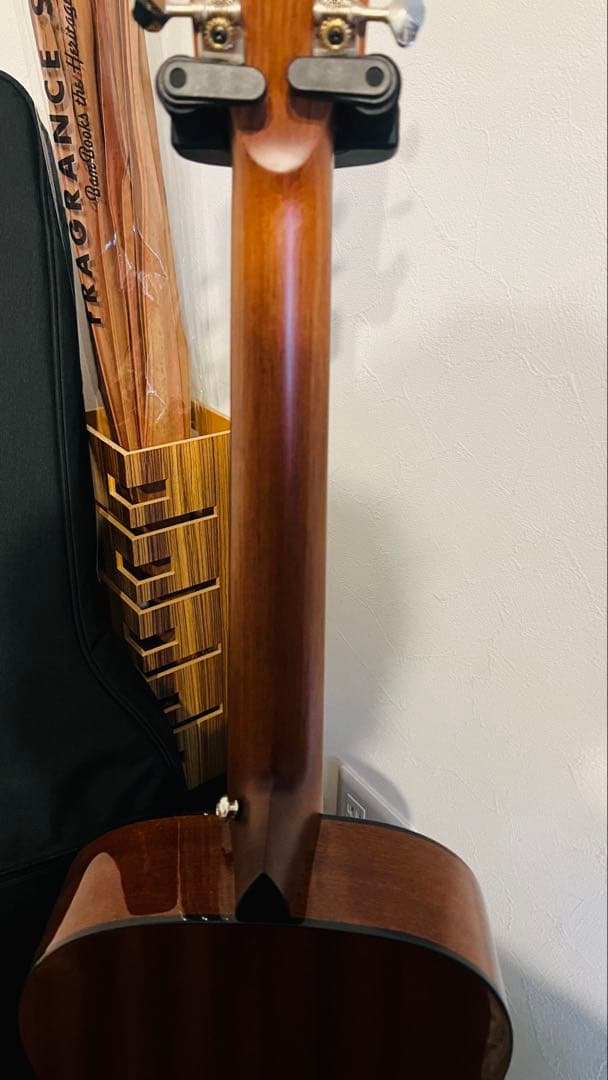 期間限定値下げNAGI GUITARS Cherry Mini