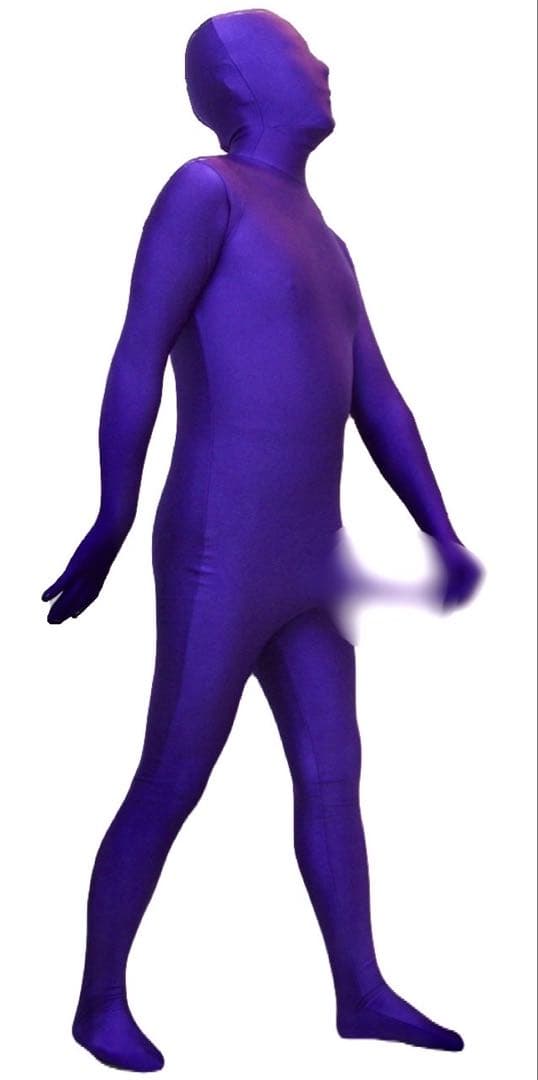 即購入OK。Lサイズパープル男性用凸仕様ゼンタイフルフェイスマスク全身タイツ