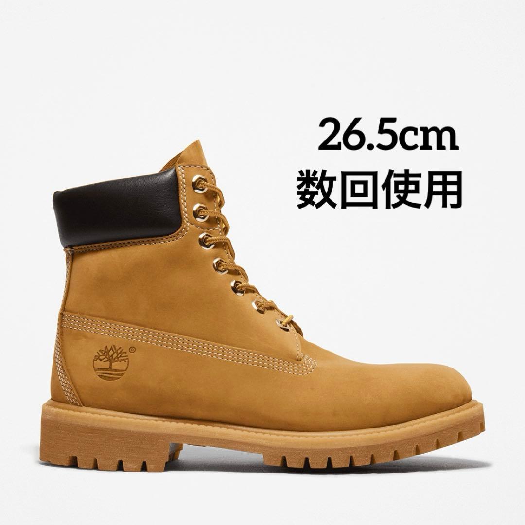 魔術を教えてくださいニャン