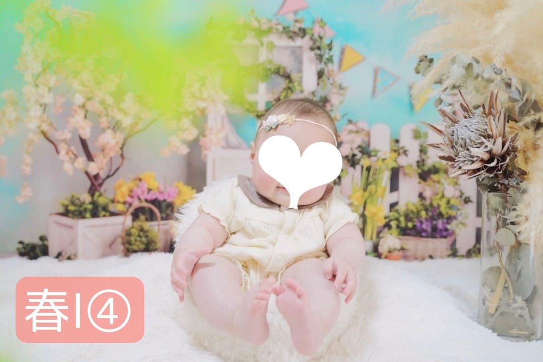 背景布×6+1枚　ペット、サロン撮影用フォトブース　トリミングチョーカー販売中