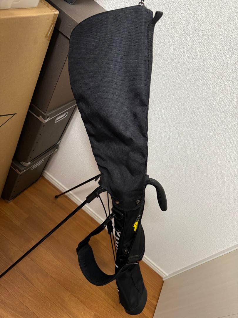 雪*の様 NEW ERA ニューエラ　ピカチュウ ポケモン　スタンド式バッグ