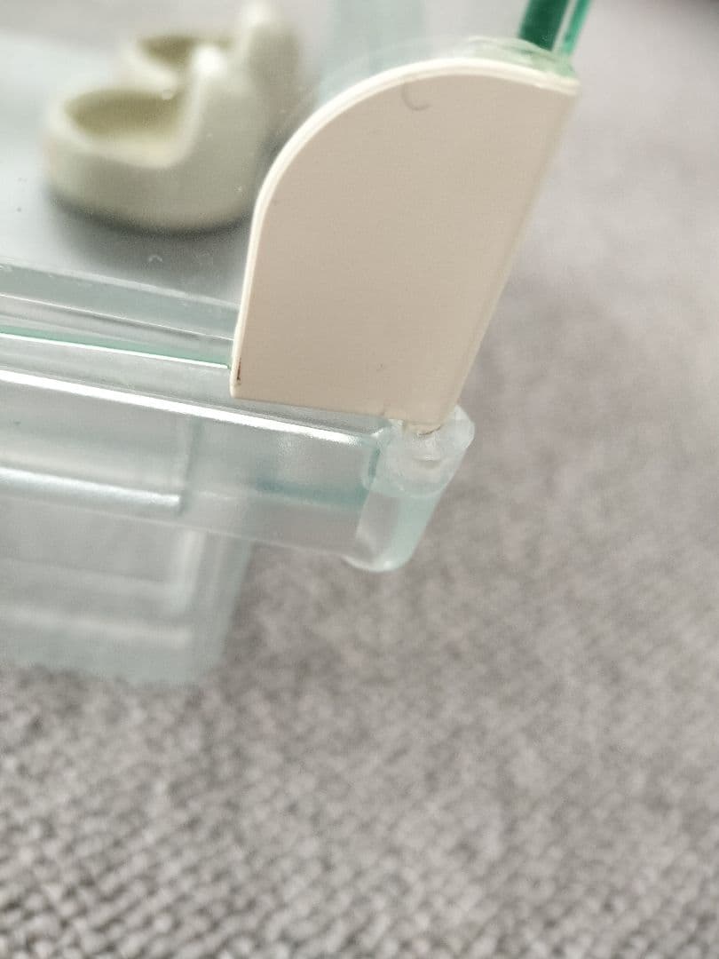 グラスハーモニー大小　餌　砂　今すぐ飼えるセット