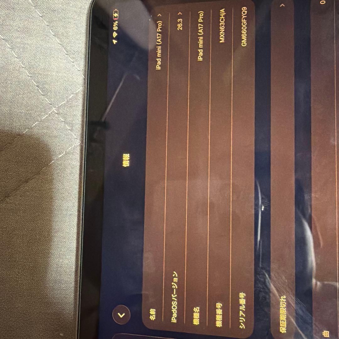 Apple iPad mini 7 A17 Pro スペースグレー 本体 1TB