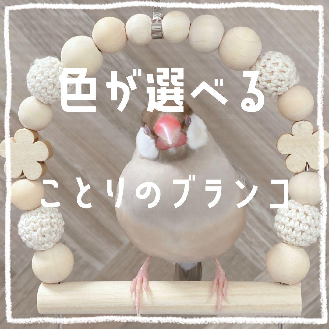 【muu☆プロフご覧下さい】ことりのおおきなあそびば