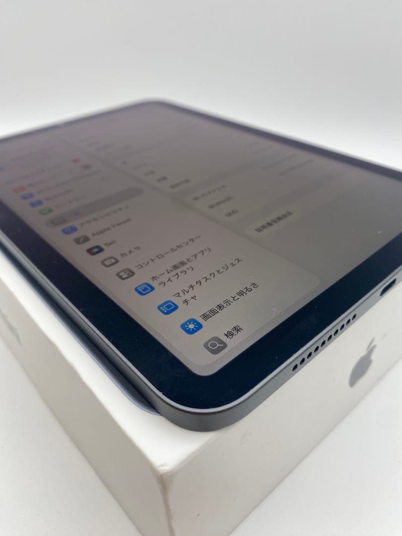 Apple iPad mini (青色) 本体