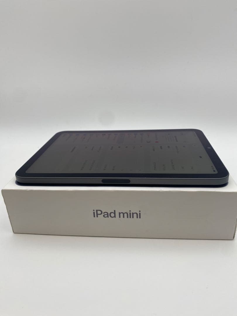 Apple iPad mini (青色) 本体