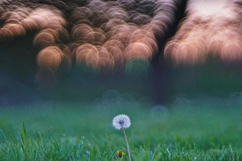 バブルボケレンズPentacon (Diaplan) 150mm f2.8M42