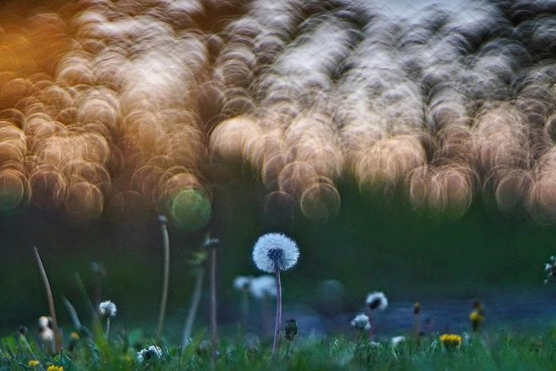 バブルボケレンズPentacon (Diaplan) 150mm f2.8M42