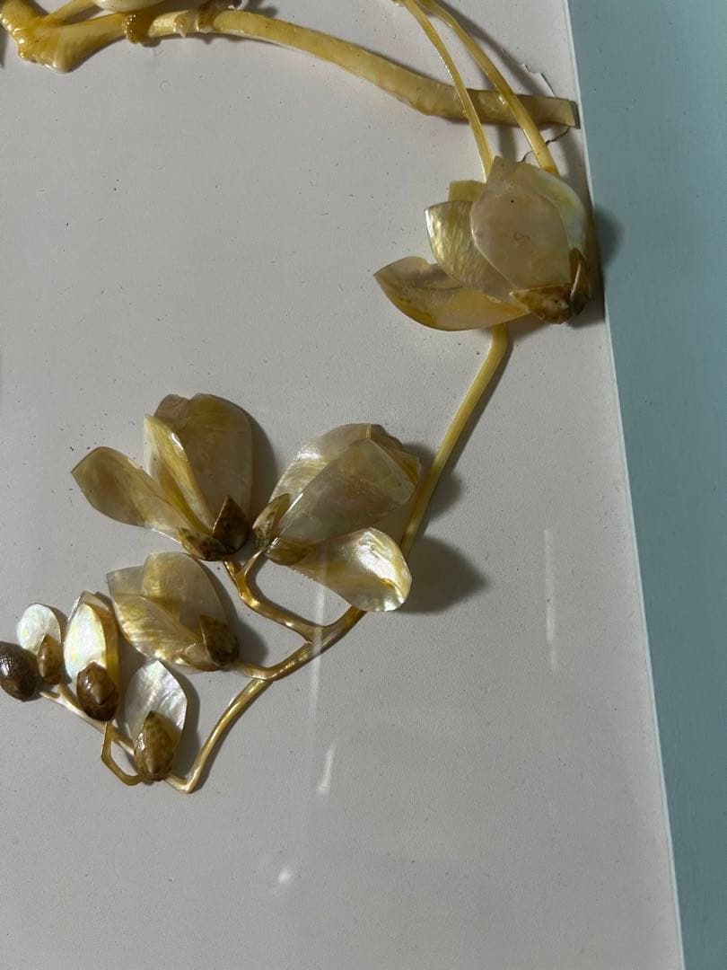 貝細工　中国　かなり昔