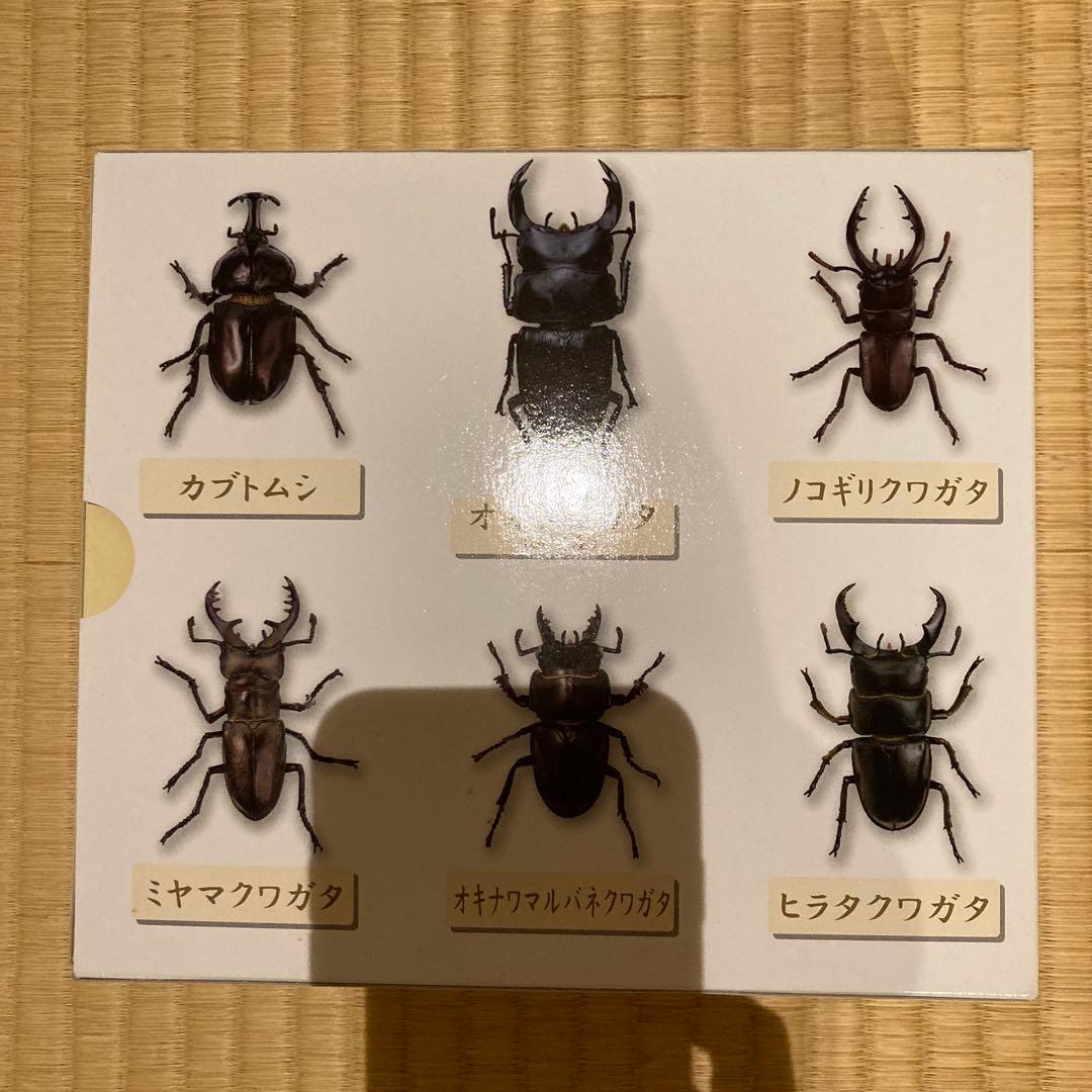 原色昆虫類甲虫図鑑 YUJIN