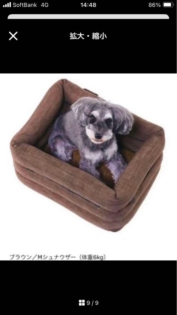 ペピィPEPPY ソファボックス（車窓乗り出し防止ドライブボックス）ブルーグレー