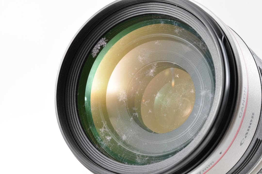 レンズ(ズーム) Canon EF 100-400mm F/4.5-5.6 L IS #1317