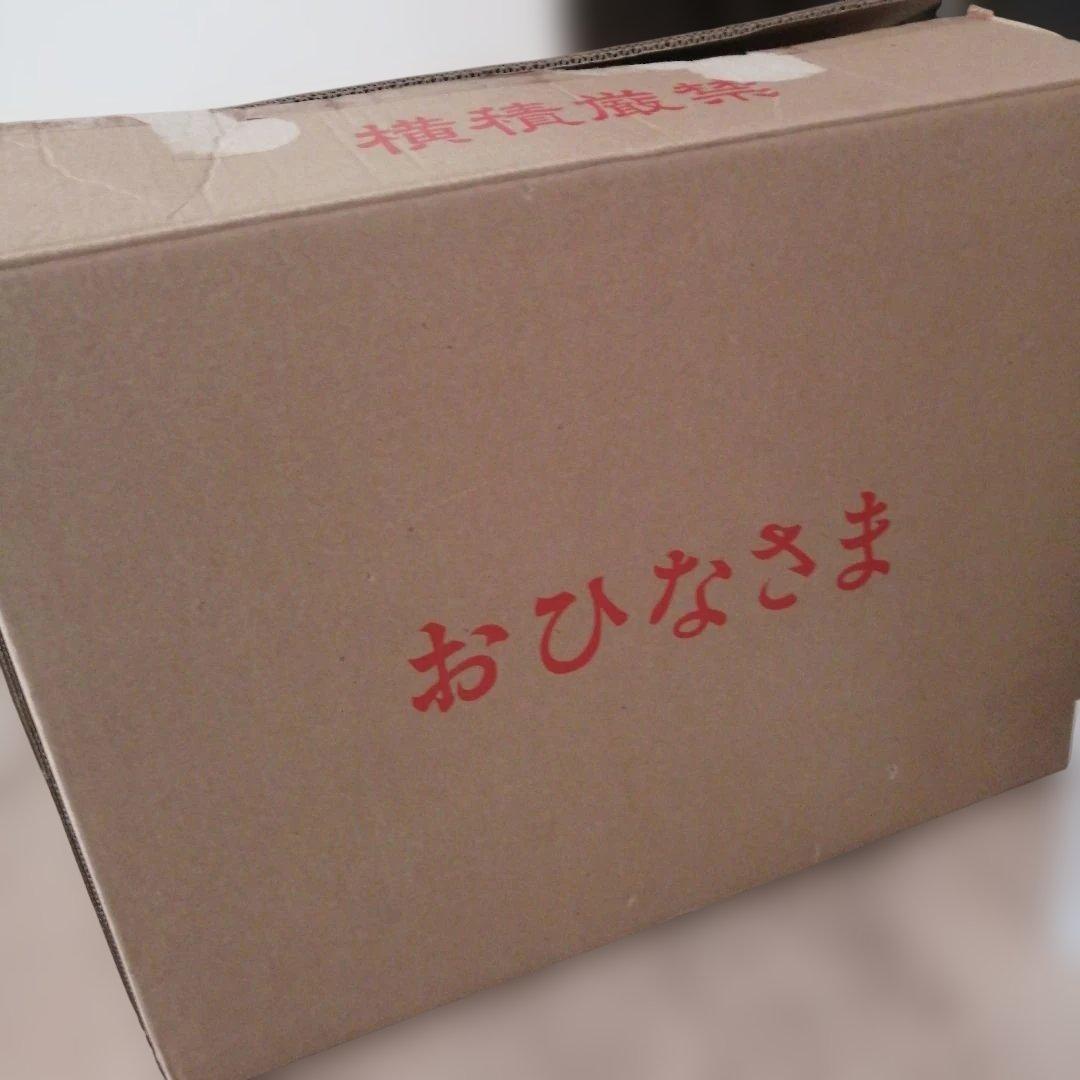 雛人形　桜模様　ケース入り　横67 縦30 高さ48　置場所選びません！　美品