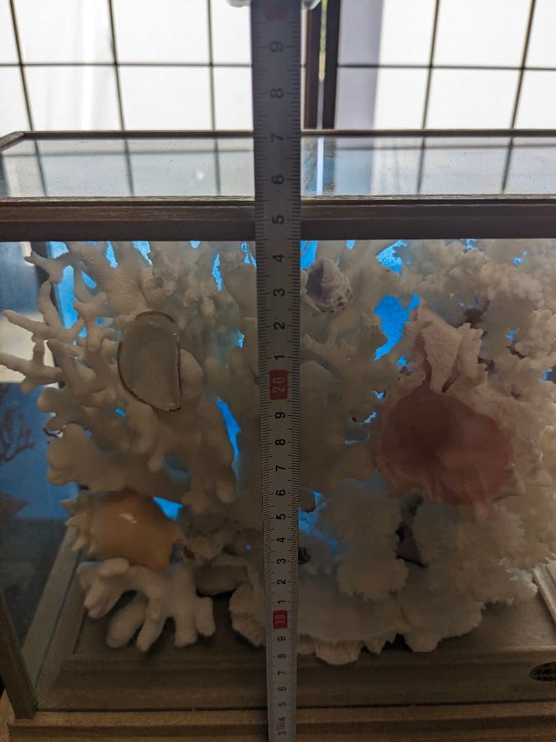 珊瑚礁　飾り珊瑚　ガラスケース付