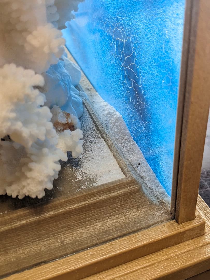 珊瑚礁　飾り珊瑚　ガラスケース付