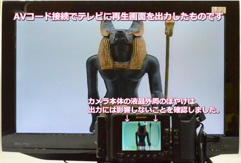 【動作確認済み】SHARP/シャープ VIEWCAM VL-HL3 ビューカム