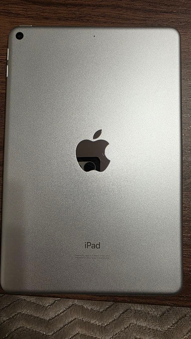 iPad mini(第５世代) Wi-Fi256GBシルバー　　 非純正ペン付き