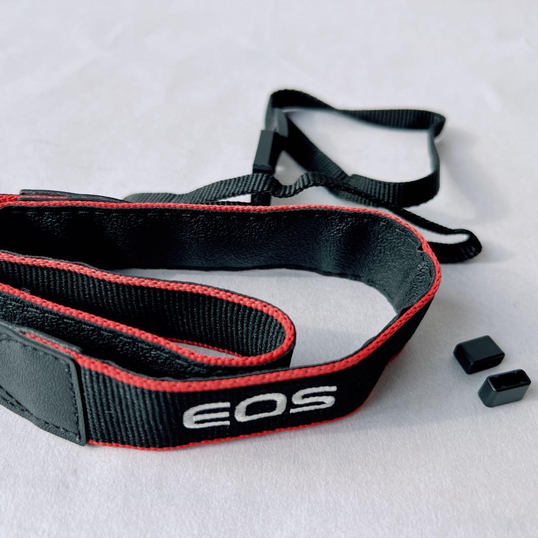 ショット数1310•美品✨Canon EOS Kiss X90レンズ付　箱付