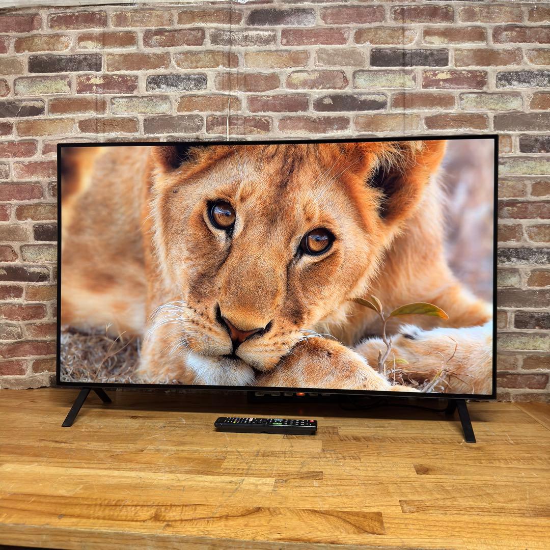 LG 55インチ 4K 有機ELテレビ OLED55A2PJA 動画アプリ搭載