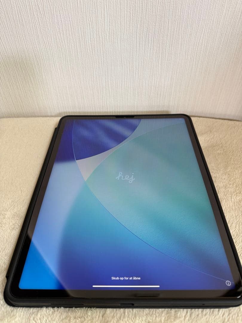 【美品】iPad Pro 12.9 第5世代 256GB セルラー M1