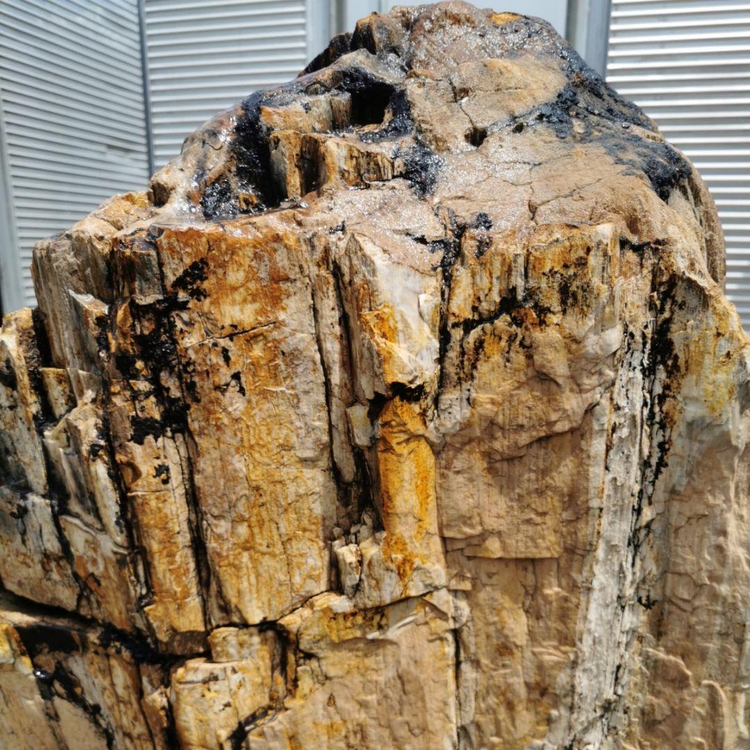 秋田産　珪化木　349キロ　木化石　庭石　石　鑑賞石　置物　オブジェ