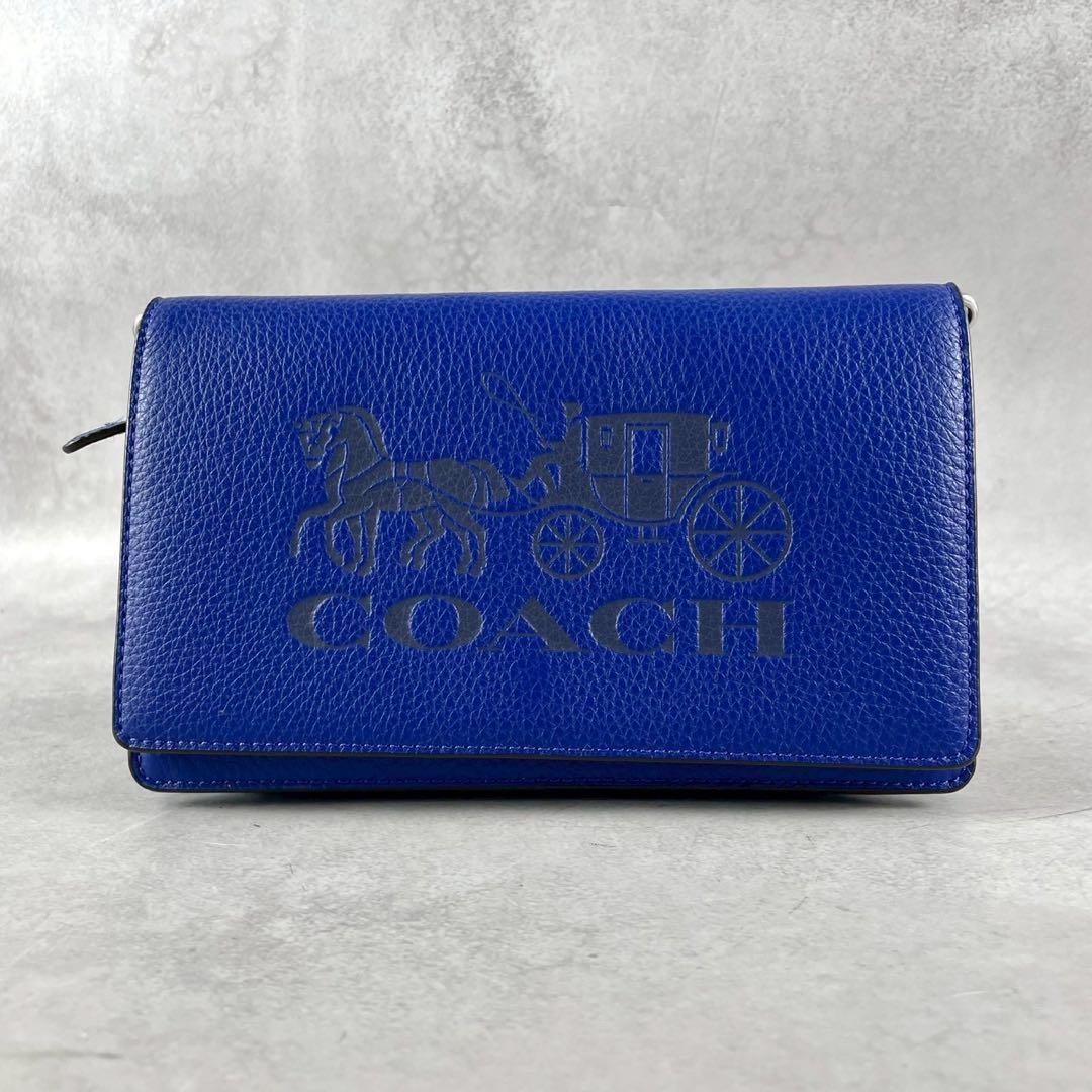 ✨稀少✨極美品✨コーチ　アンナ　ショルダーバッグ ウォレット　2way エンボス