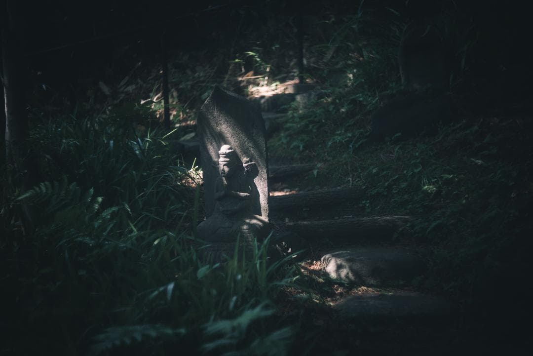 N O Go様虹の出る癖玉！Leica Summar 50mm f2