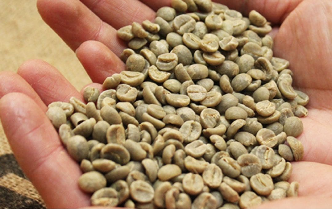 kohzy　4キロ　ブルーマウンテンNo.1 メルカリ最安