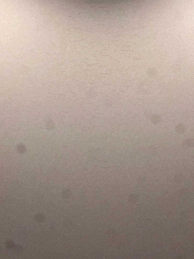 S*A様 Apple iPhone 13 Pro グラファイト