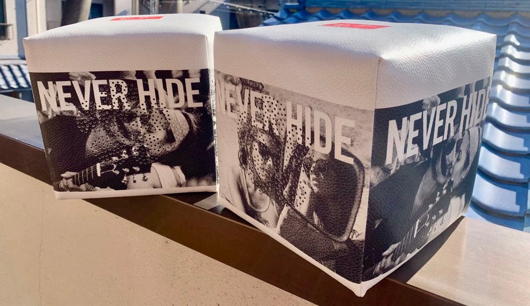 スピーカー レイバン Ray-Ban×audel 非売品