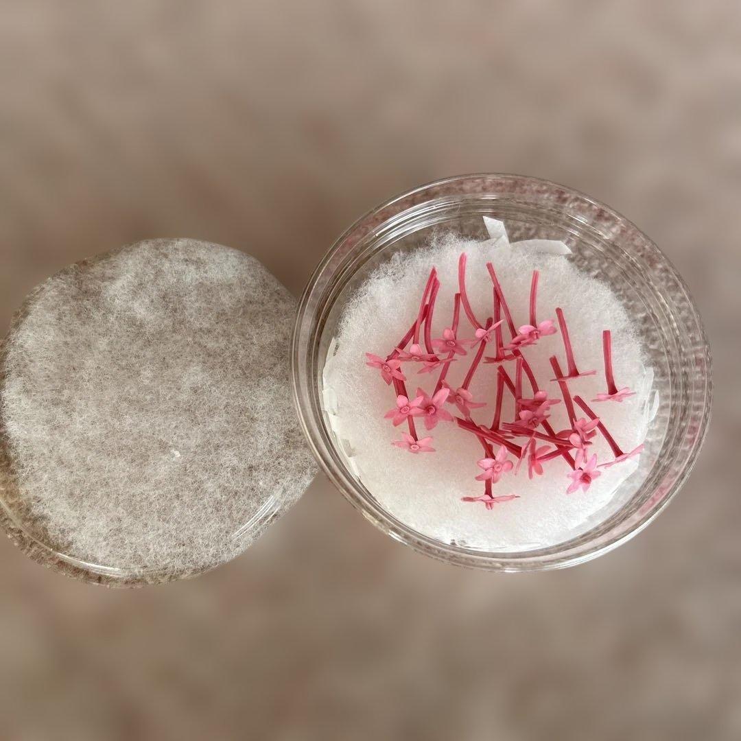 プリザーブドフラワー花材29点セット