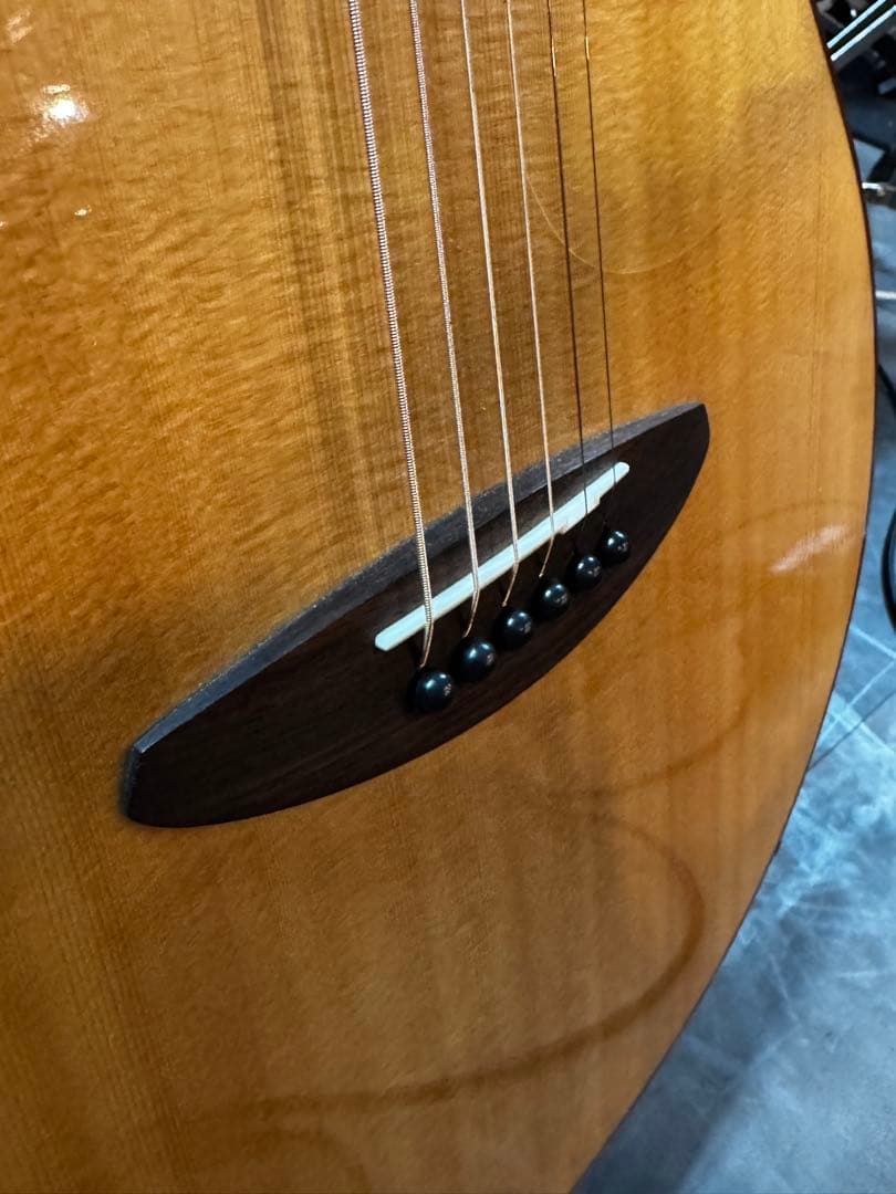 aNueNue LF23E (エレアコモデル) 美品