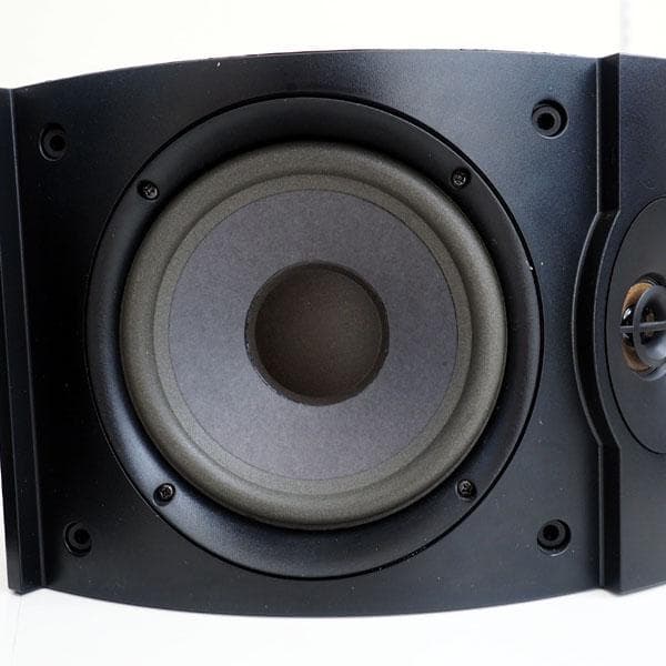 BOSE 301V スピーカー (2台1組) ブラック 【国内正規品】