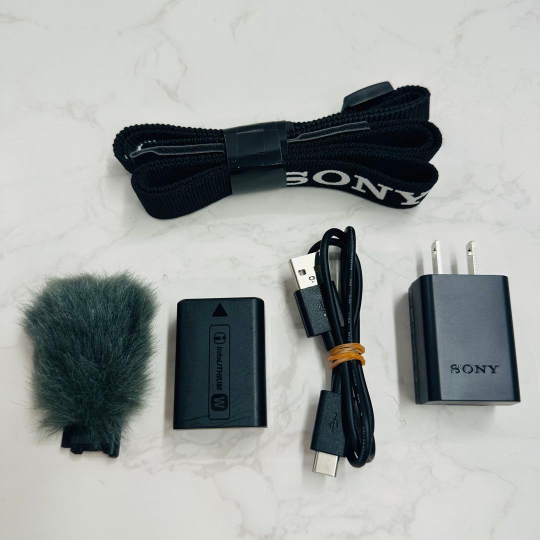 SONY ソニー ZV-E10 ボディ ミラーレス一眼カメラ ショット数179枚