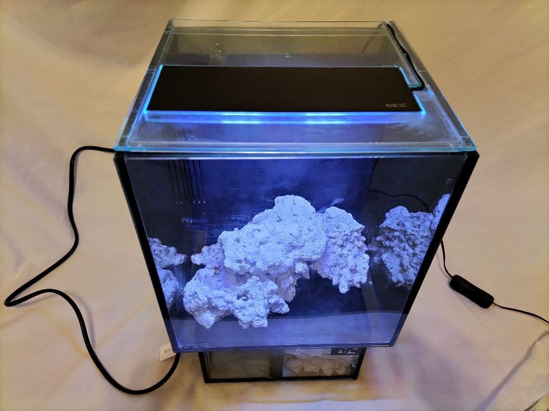 小型　オーバーフロー水槽　水槽　セット　海水魚　淡水魚　ガラス