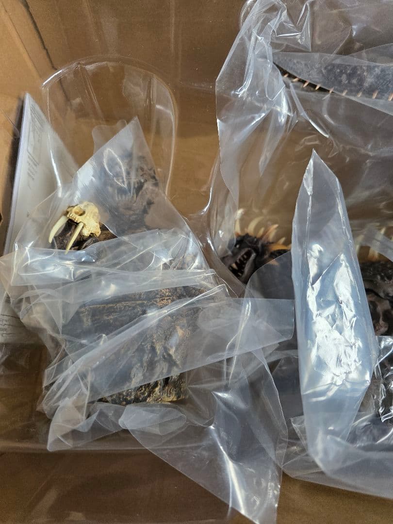 ご依頼品