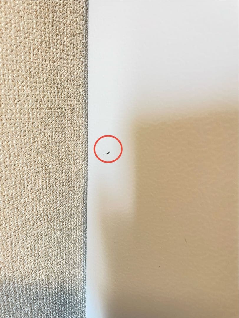 【最終値下げ】Panasonic 冷蔵庫 [335L /右開き]