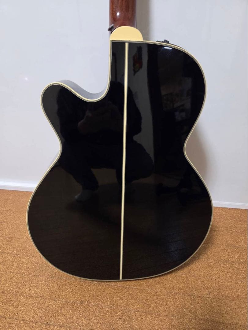 【長渕剛仕様】Takamine TDP500-6 BL/ブラック