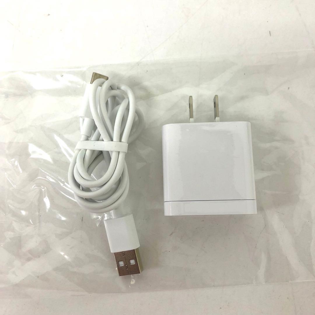 3958-L 音波振動ハブラシ ドルツ EW-DT73-A 未使用